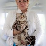 Elena Fedorenco - All Breed Judge (Russia)
